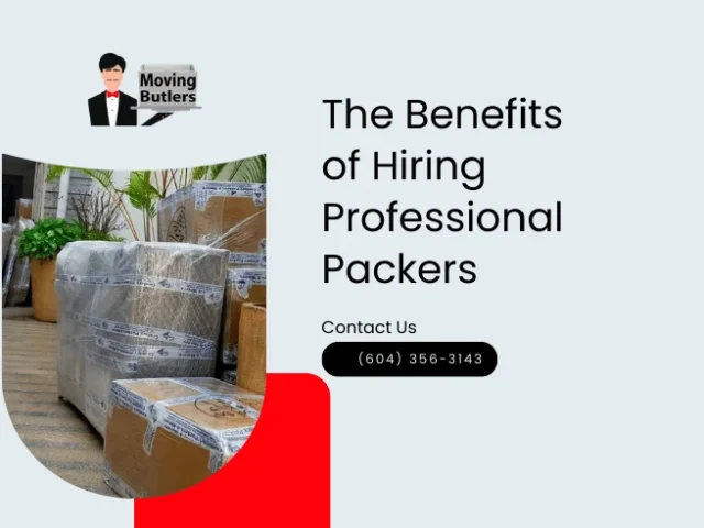 benefits-of-hiring-professional-packers-640x480.webp
